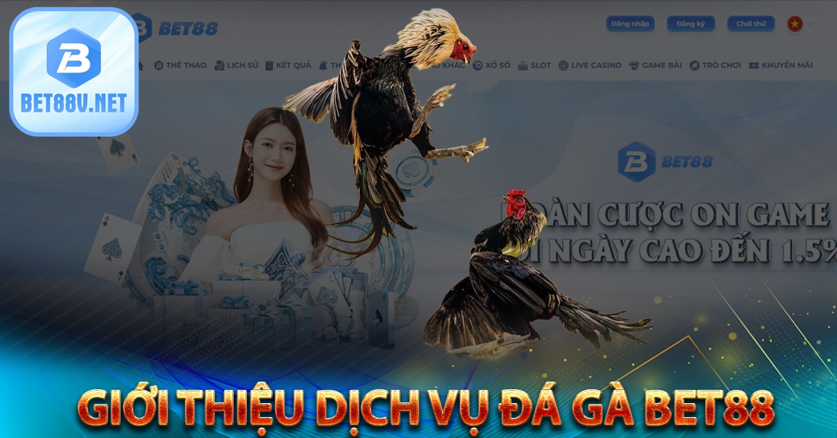 Giới thiệu dịch vụ đá gà bet88