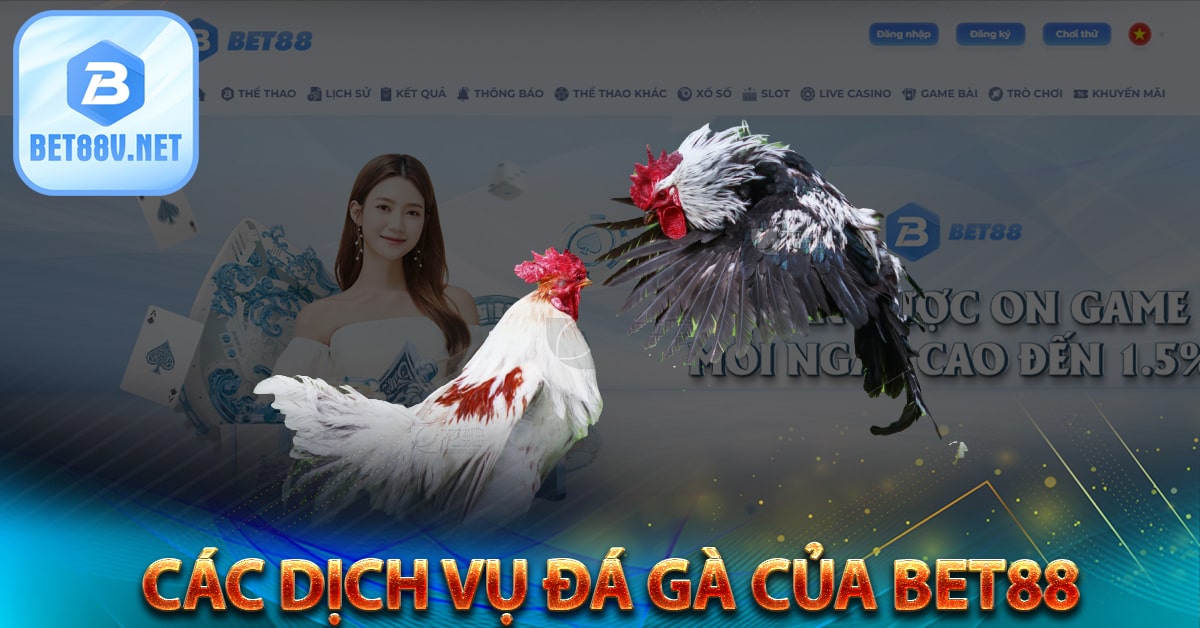 Các dịch vụ đá gà của bet88