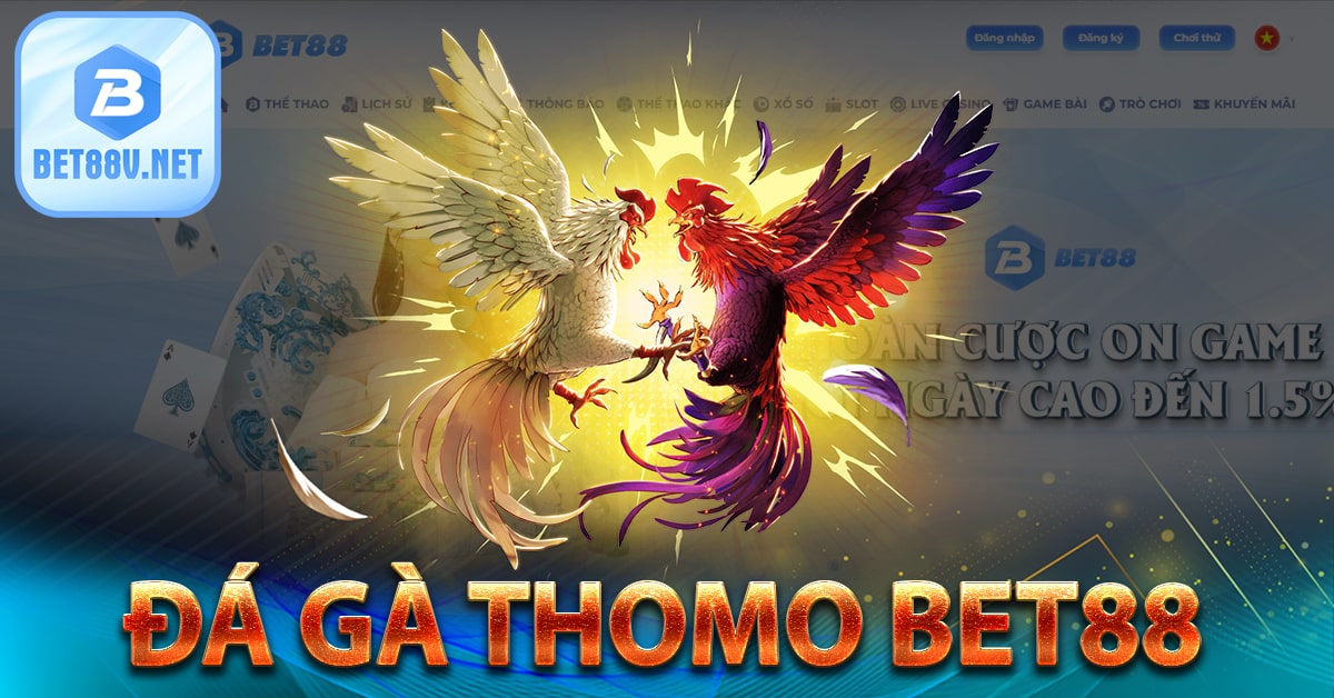 Đá gà Campuchia tại bet88