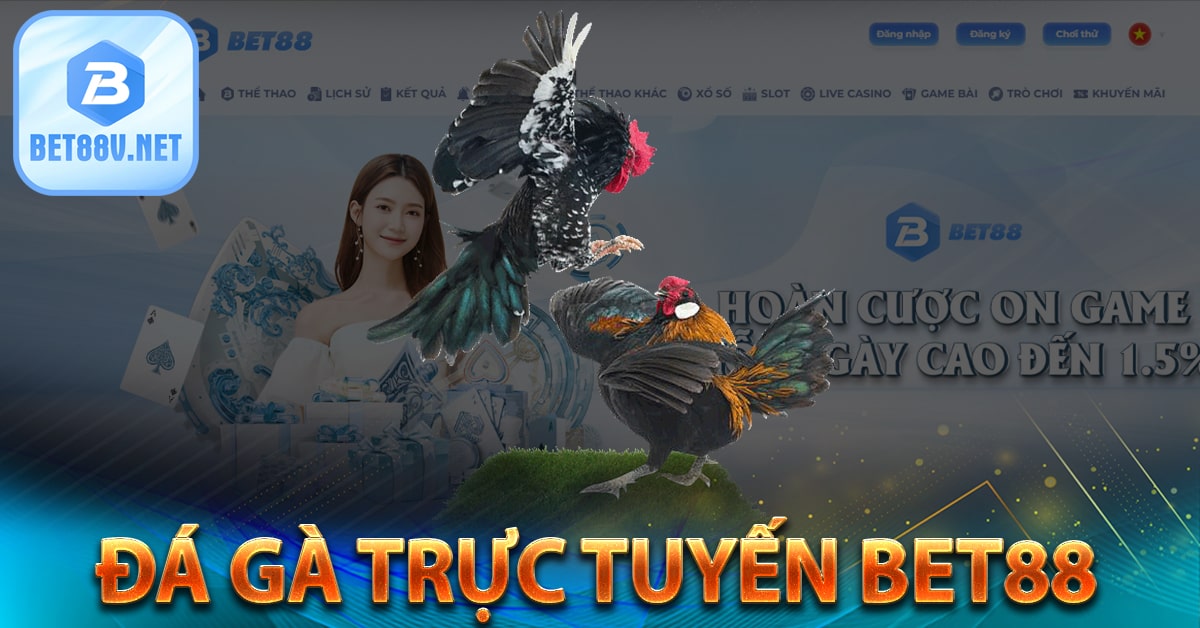 Đá gà trực tuyến bet88