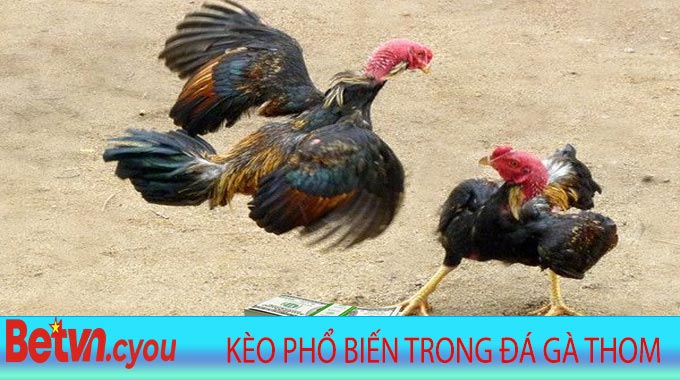 Các loại kèo phổ biến trong Đá Gà Thom